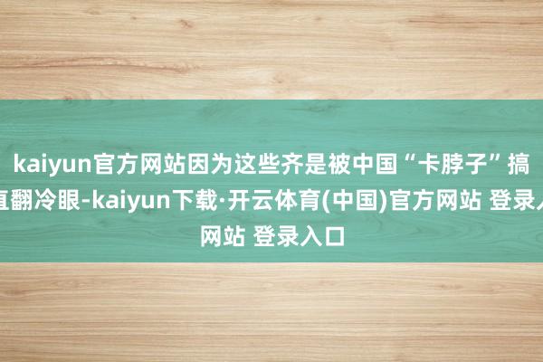 kaiyun官方网站因为这些齐是被中国“卡脖子”搞得直翻冷眼-kaiyun下载·开云体育(中国)官方网站 登录入口