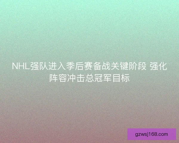 NHL强队进入季后赛备战关键阶段 强化阵容冲击总冠军目标